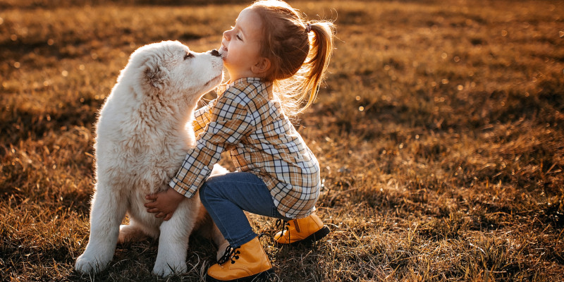 How is Puppy Food Different from Regular Dog Food?