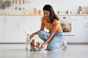Three Tips for Optimal Dog Nutrition