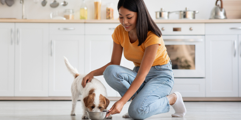 Three Tips for Optimal Dog Nutrition 